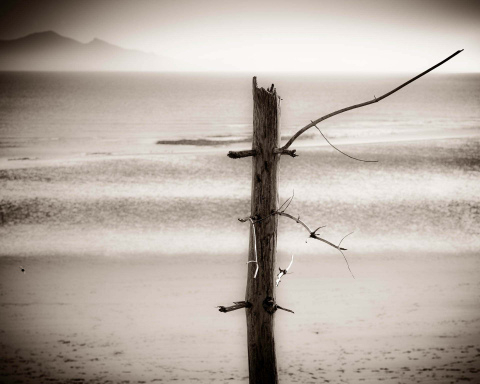 Semaphore | LLanddwyn Bay