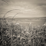 Looking Out:1 | Breakwater Country Park