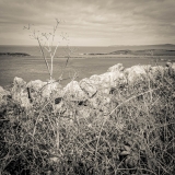 Looking Out:2 | Breakwater Country Park