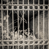 Old Brickworks:2 | Breakwater Country Park