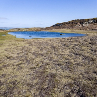 Blue | Holyhead