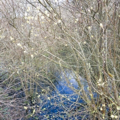 Blue and Yellow | Holyhead