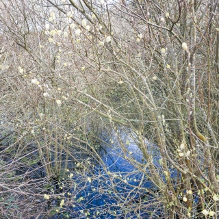 Blue and Yellow | Holyhead