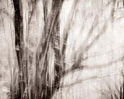 Primeval | Glen Nevis