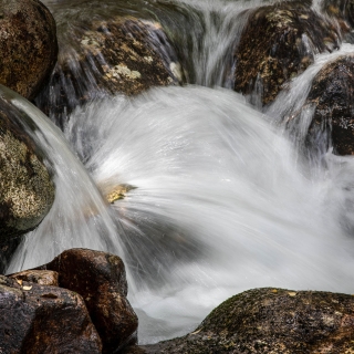 Golden Nugget | Glen Nevis