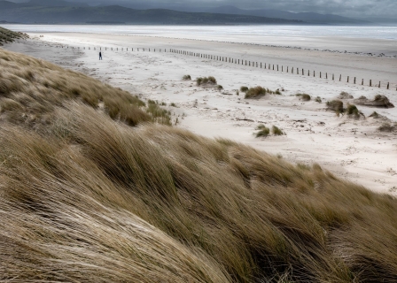 Storm Light | Black Rock Sands Beach, Morfa Bychan