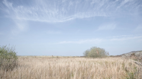 Early Spring | Red Wharf Bay
