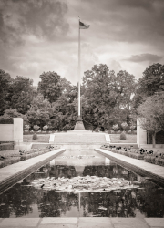 Peace & Honour | Water Lilies & Flag
