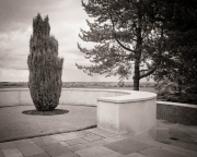 Hope | Cypress