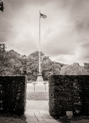Viewpoint | Flag & Roses