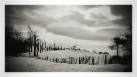 Newborough Dunes:1 | LLanddwyn Bay