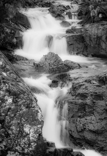 Island in the Flow | River Coupall