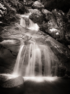 Dark Flow | River Coupall