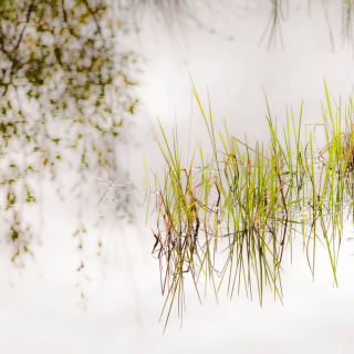 Still Waters:2 | Invercoe