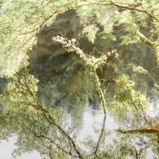 Still Waters:4 | Invercoe