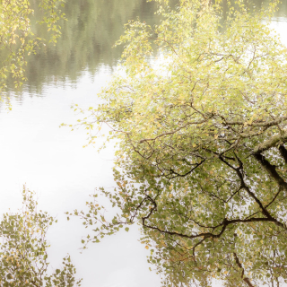 Still Waters:1 | Invercoe
