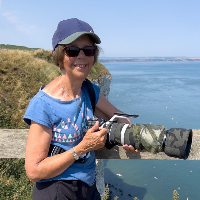 Hazel at Bempton Cliffs